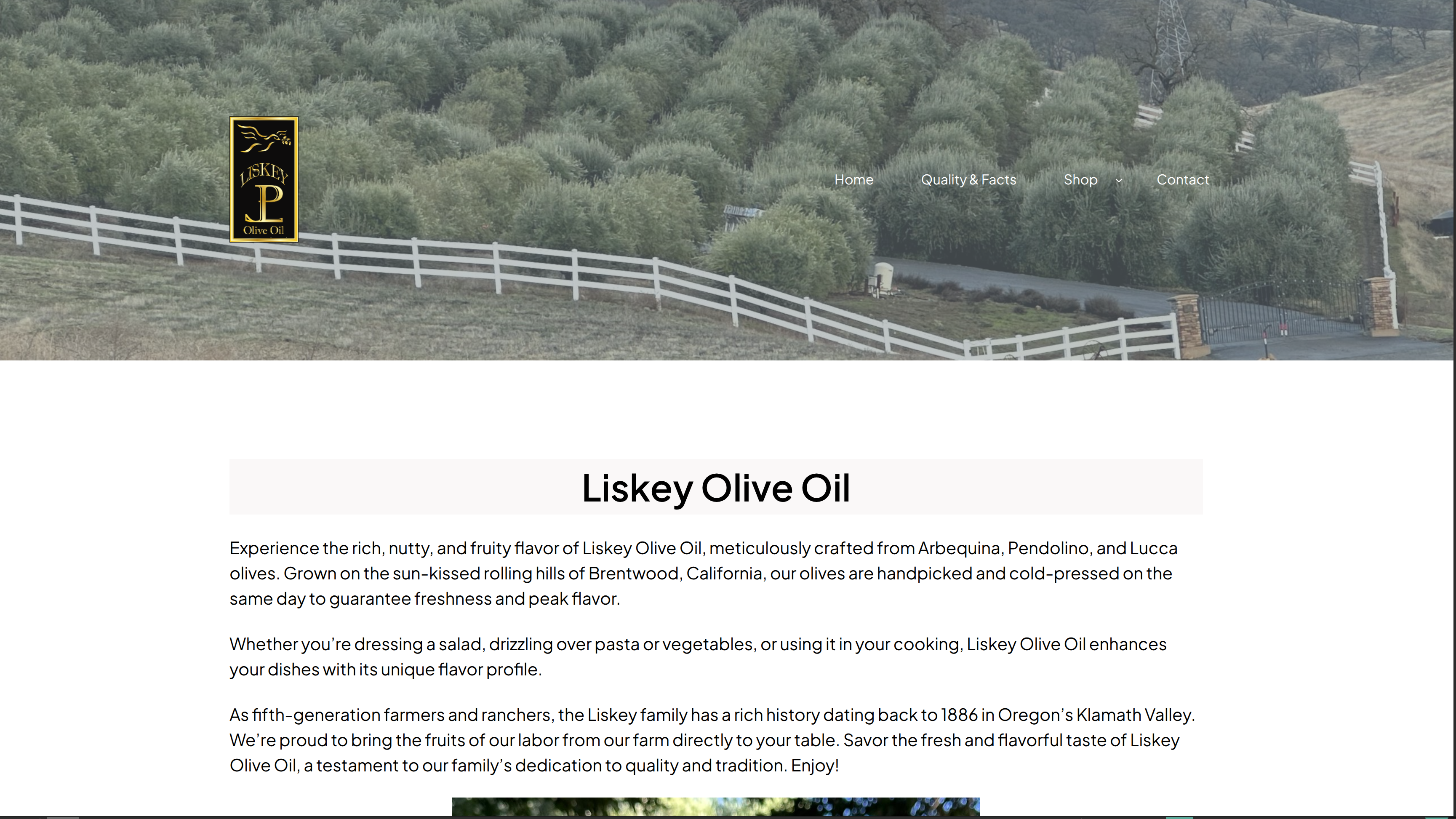 E-commerce Website and Online Store Development